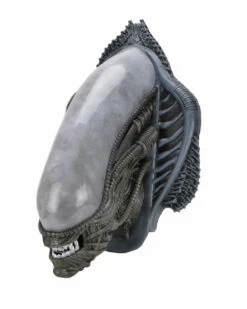 NECA Alien Xenomorph Foam Replica Wall Mounted Bust