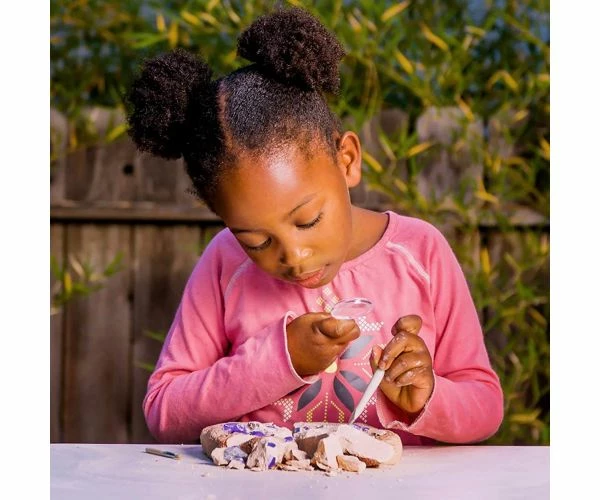 National Geographic Ultimate Gemstone Dig Kit - Image 3